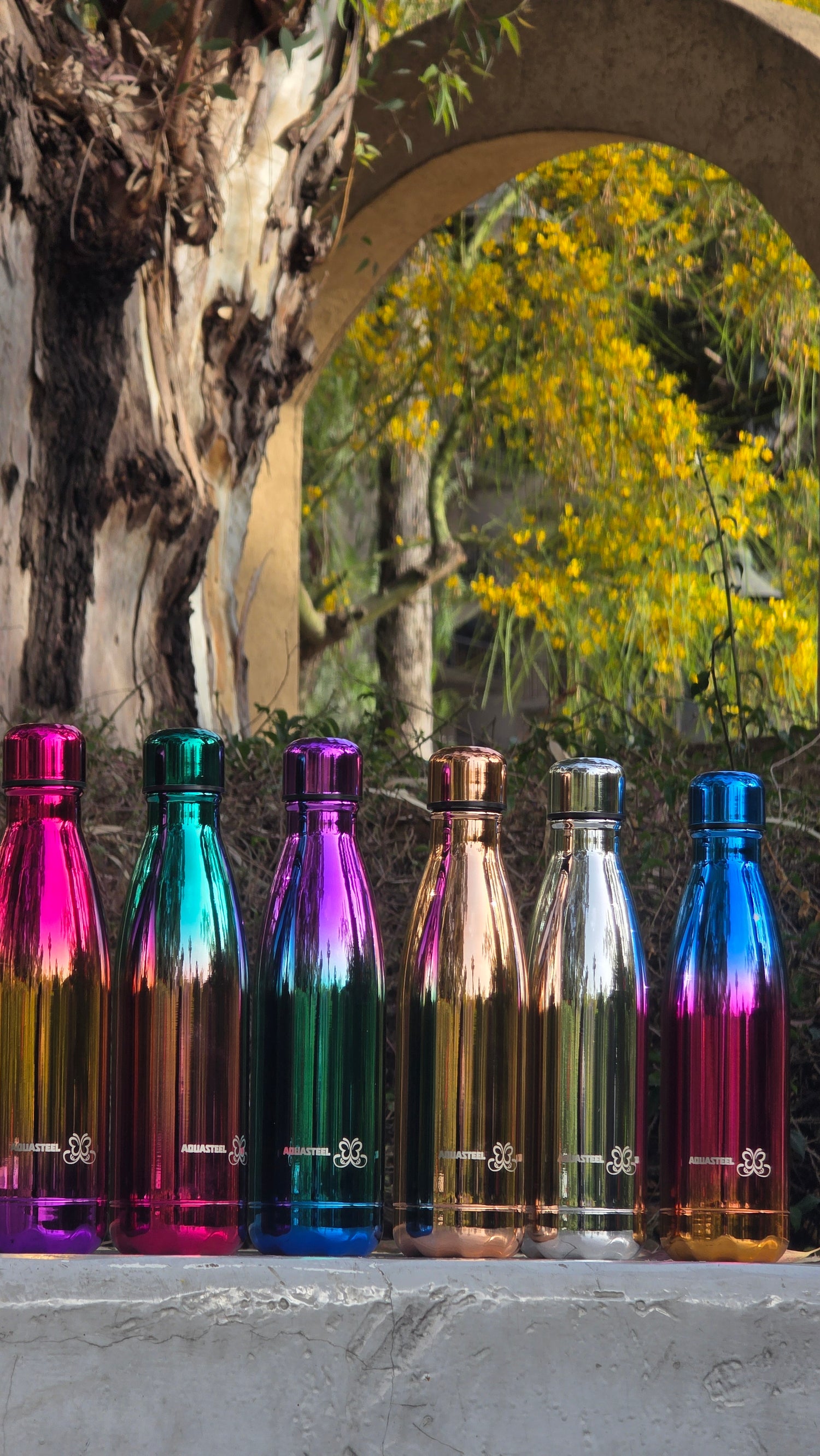 Popular Products 🔥