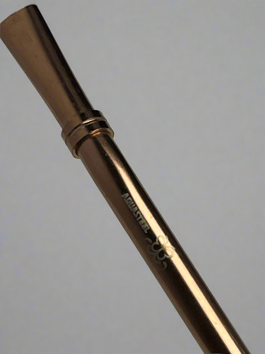 Bombilla Stainless Steel Straw